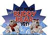 Australian Hungry Jacks Buddy Bears 1998 Coca-Cola Bean Bags